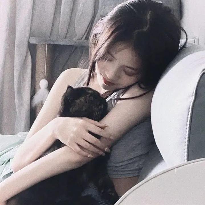 猫咪寻熊记